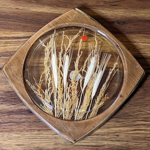 May include: A wooden coaster with a clear resin top featuring dried grasses and a small red ladybug. The coaster is a square shape with rounded corners.