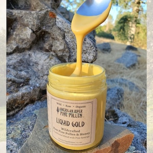 Liquid Gold -  Wildcrafted Raw Pine Pollen and Honey - Traditional Blend with Pine Synergy