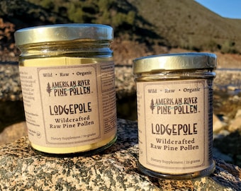 Lodgepole Pine Pollen - Raw and Wild-Harvested