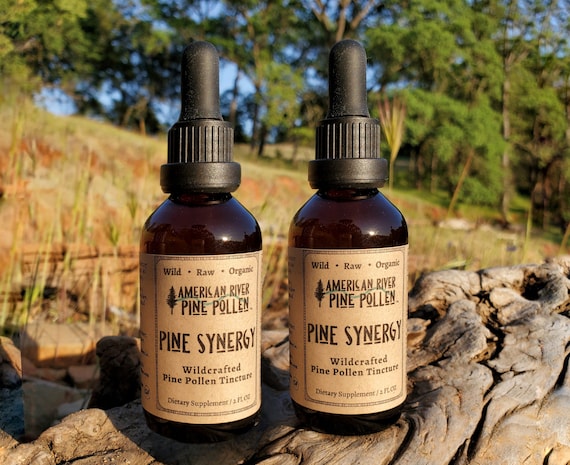 Wildcrafted USA Pine Pollen Tincture/Extract - Pine Synergy