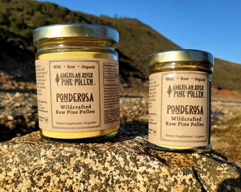 Ponderosa Pine Pollen - Raw and Wild-Harvested