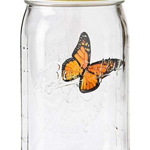 Yellow Swallow Butterfly In A Jar With Led Light Etsy - roblox light jar