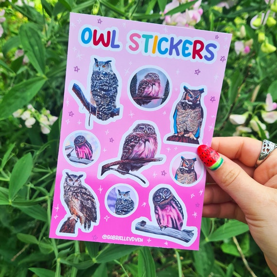 Sticker sheet owls
