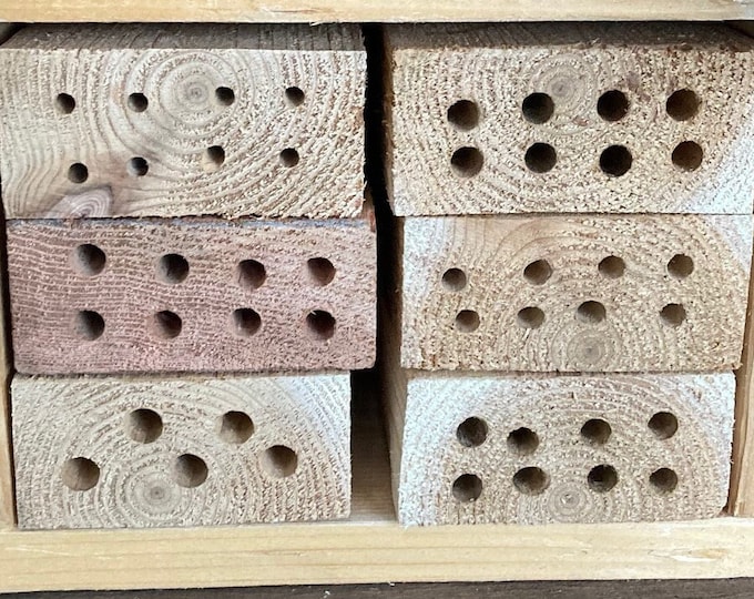 Bee house drilled block-removable bee house block-block for bees-Bee house-pollinator house-mason bee house-beneficial insects-permaculture