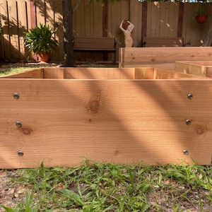 May include: A close-up of a wooden raised garden bed with silver screws securing the boards. The bed is made of natural cedar wood and is sitting on a bed of green grass.