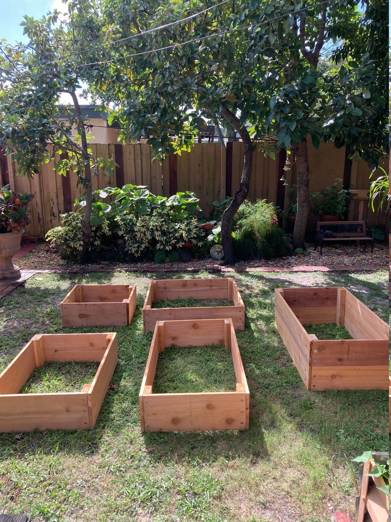 May include: Five wooden raised garden beds in a backyard setting. The beds are made of cedar wood and are filled with soil and green grass. The beds are arranged in a rectangular pattern.