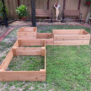 May include: Four wooden raised garden beds in various sizes, assembled in a backyard setting. The beds are made of natural cedar wood and are ready for planting.