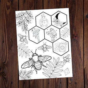 May include: Black and white line art illustration of a honeycomb with various images inside each cell. The images include a bottle, crystals, a mushroom, a crescent moon, tarot cards, and bees.