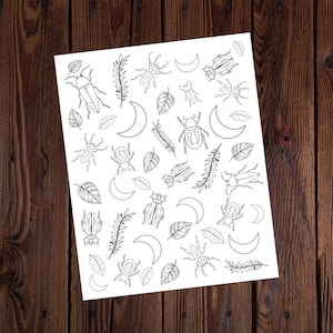 Beetles, Moons, and Leaves-INSTANT DOWNLOAD-Spiritual Coloring Page-Digital Download-Witchy Coloring Page-Witches-Magical Plants-Adult Color