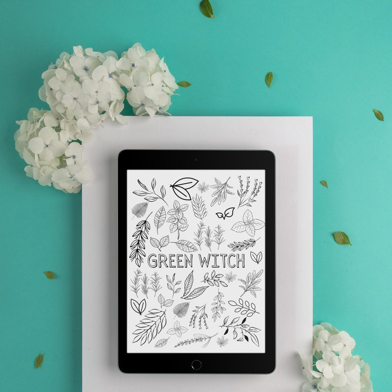Herb Coloring Adult Coloring Magical Printable Coloring Page All Ages Coloring Pages Digital Spiritual Green Witch Coloring Page Drawing Illustration Art Collectibles Commentfer Fr