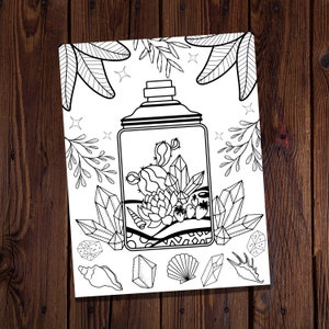 May include: A black and white line drawing of a glass jar with a lid. Inside the jar are a cactus, crystals, seashells, and strawberries. The jar is surrounded by leaves and stars.
