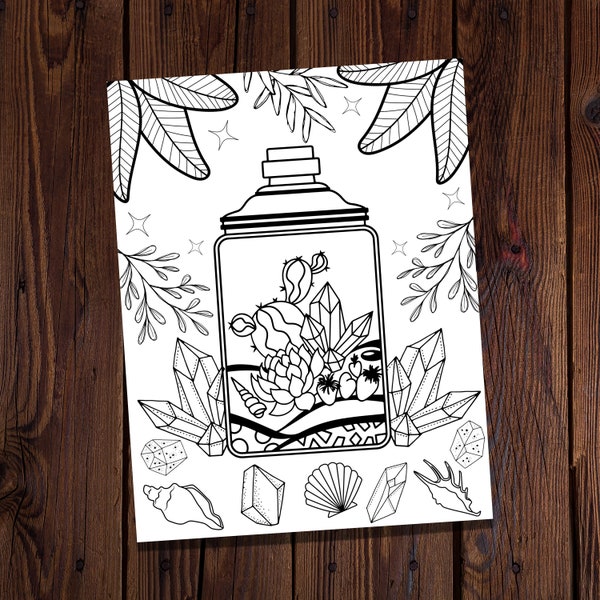 Terrarium and Crystals-Succulents Coloring Page-Witchy Coloring Page-Magical Coloring Page-Crystals Coloring Page-Sea Shells Coloring-Garden