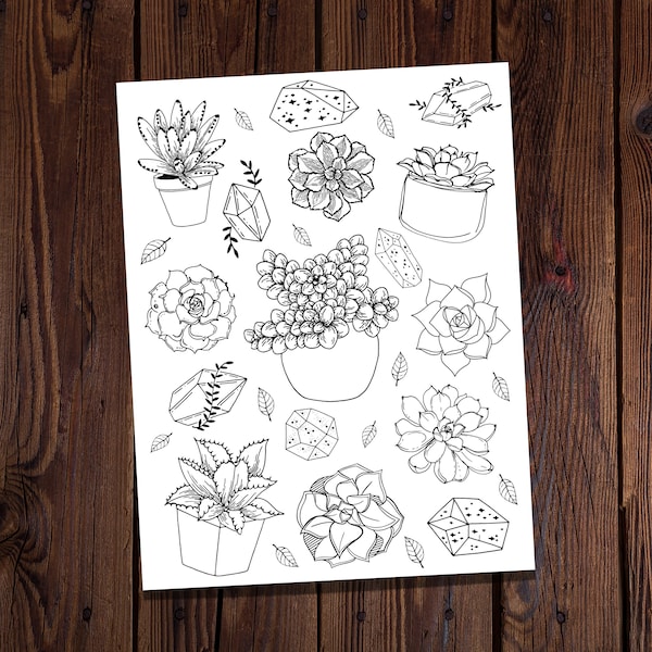 Succulents and Crystals-Succulents Coloring Page-Witchy Coloring Page-Magical Coloring Page-Crystals Coloring Page-All Ages Coloring-Garden