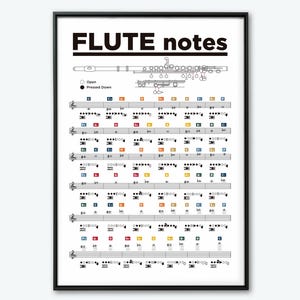 Fluitkaart. Afdrukbare poster dwarsfluit. Dwarsfluit notities poster. Leer fluit. Theorieposter fluit. Koperblazers