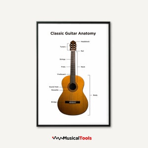 Classic Guitar Anatomy Poster. Classic Guitar parts. Classical music instrument. High Resolution Poster.