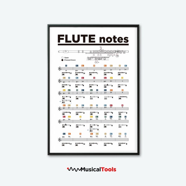 Flute Chart. Transverse Flute Printable Poster. Transverse Flute Notes Poster. Learn Flute. Flute Theory Poster. Brass instruments