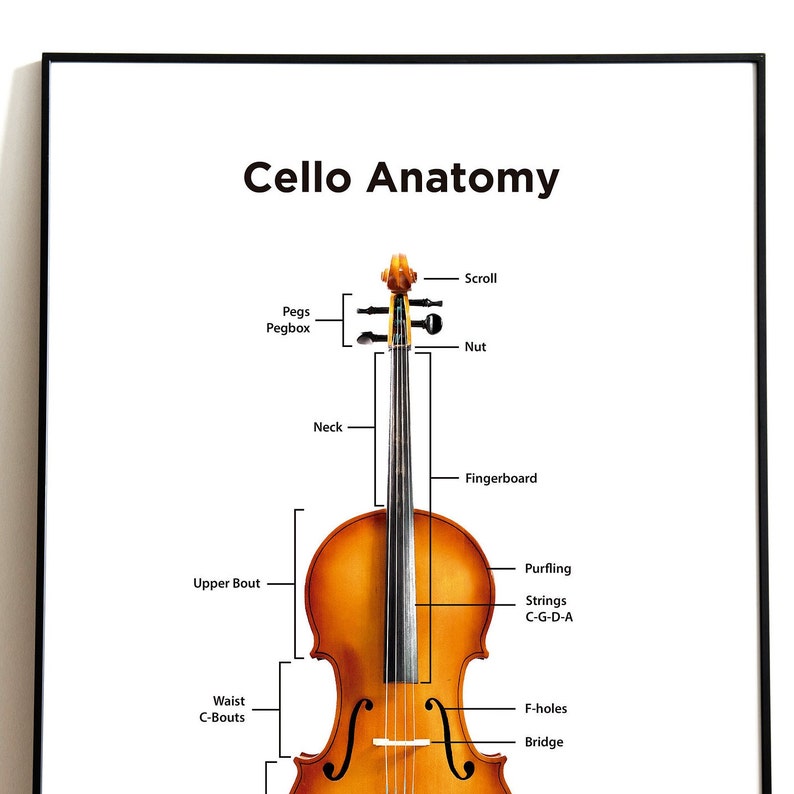 Cello Anatomy Poster. Cello Parts. Classical Music Instrument. High Resolution Poster. Etsy