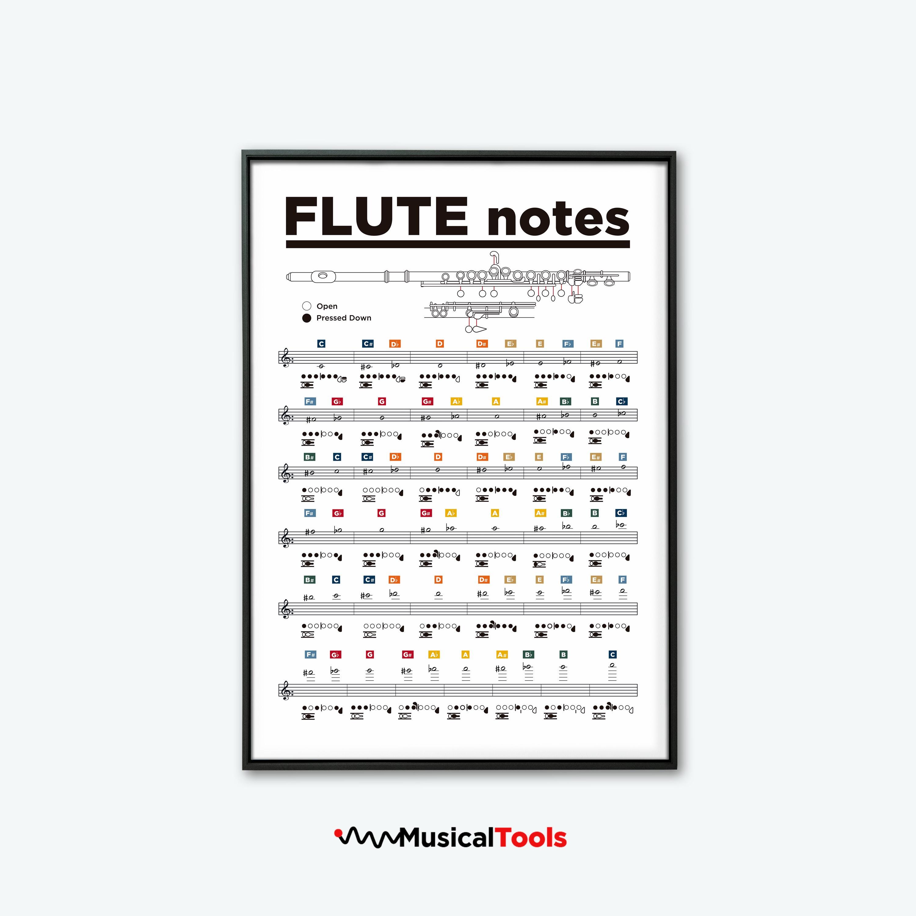 Flute Chart. Transverse Flute Printable Poster. Transverse Flute Notes Poster. Learn Flute. Flute Theory Poster. Brass instruments