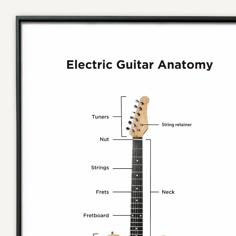 Electric Guitar Anatomy. Parts of Electric Guitar. Telecaster Electric