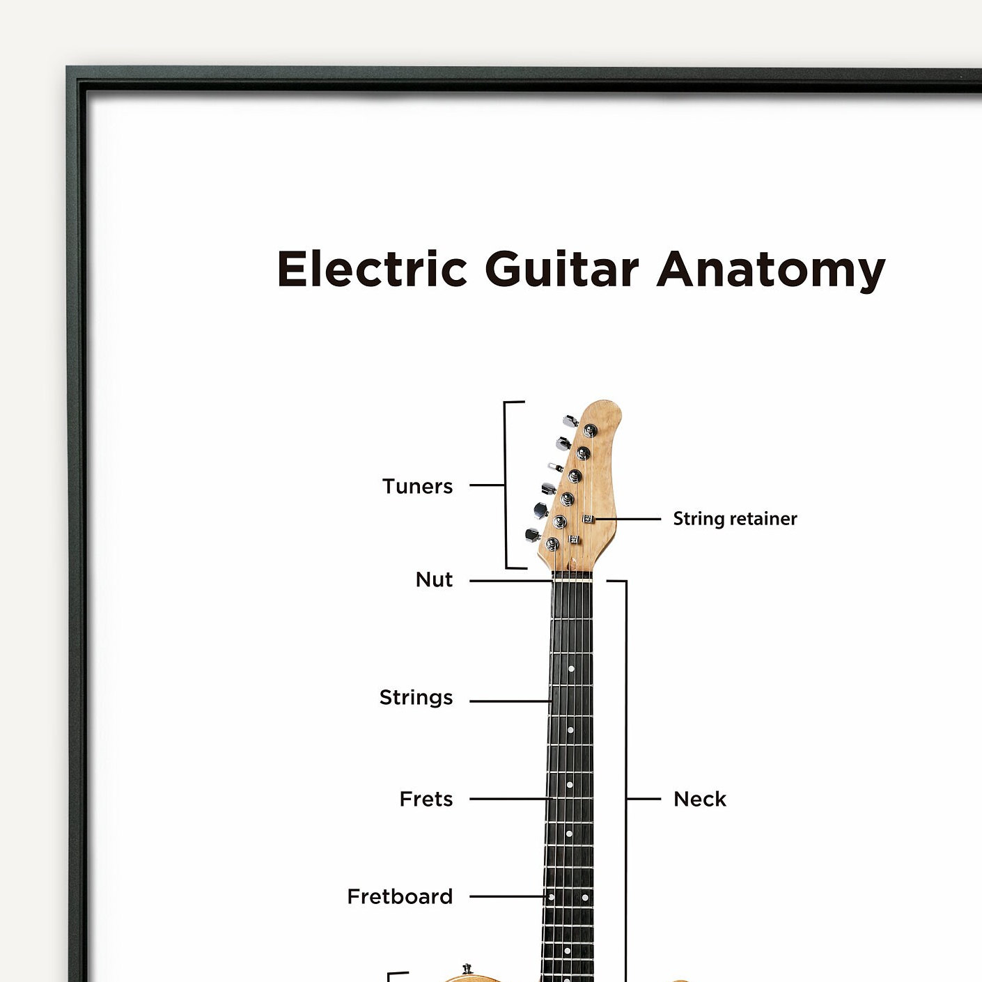Telecaster anatomy 2024