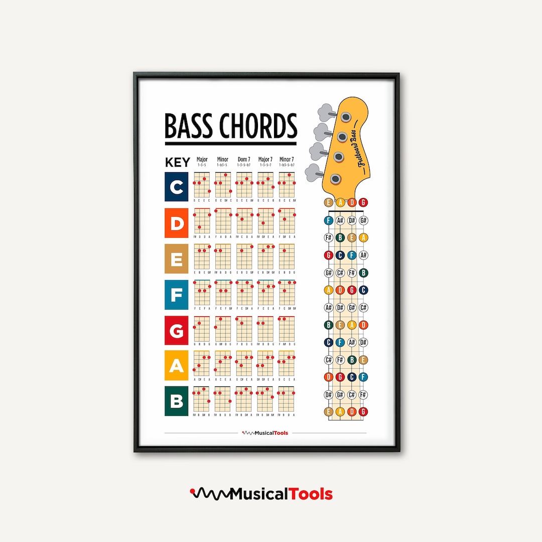 Adesivi Per Tastiera Basso 4 Corde - 3 Confezioni, Note E Accordi Per Principianti, Facili Da Applicare