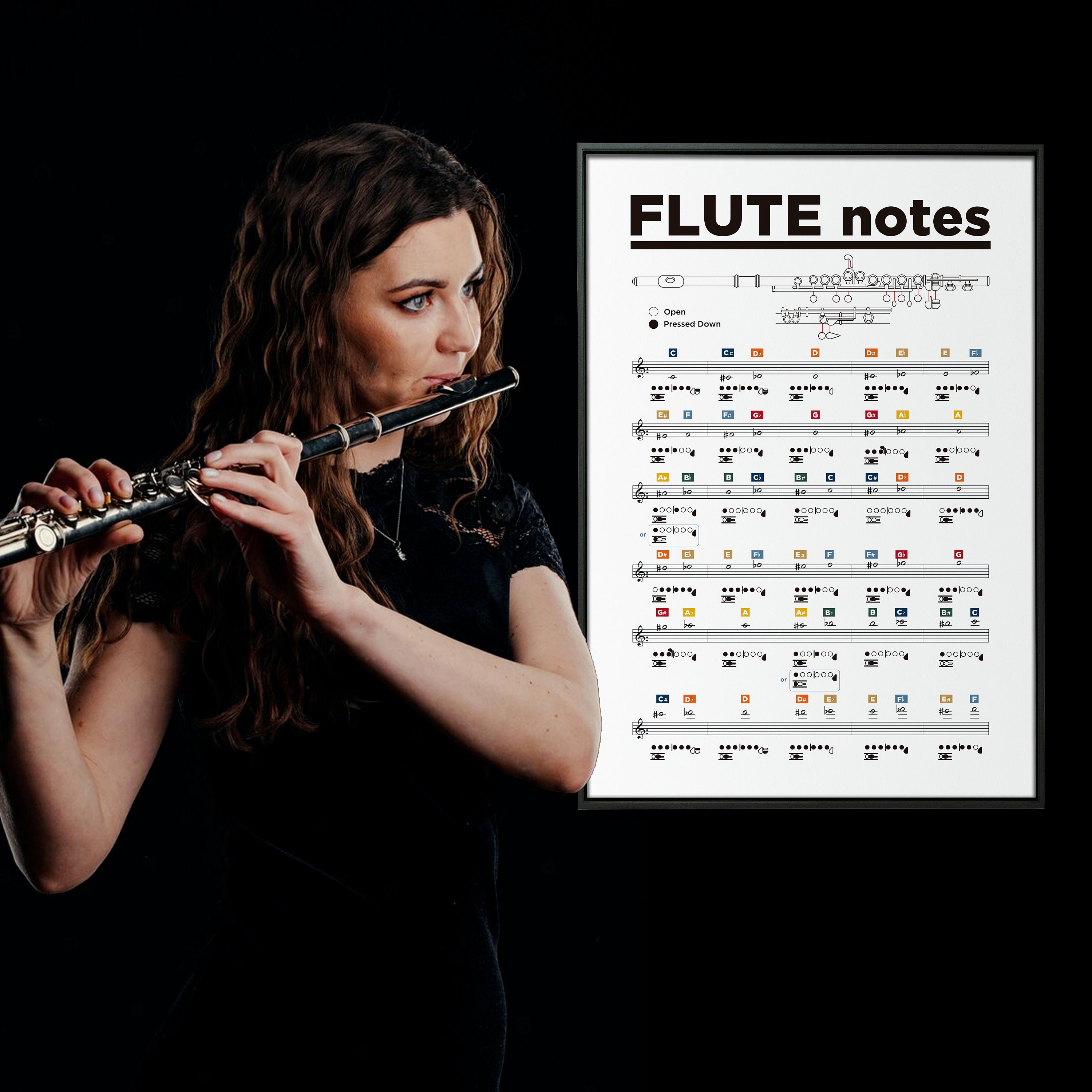 Flute Chart. Transverse Flute Printable Poster. Transverse Flute Notes