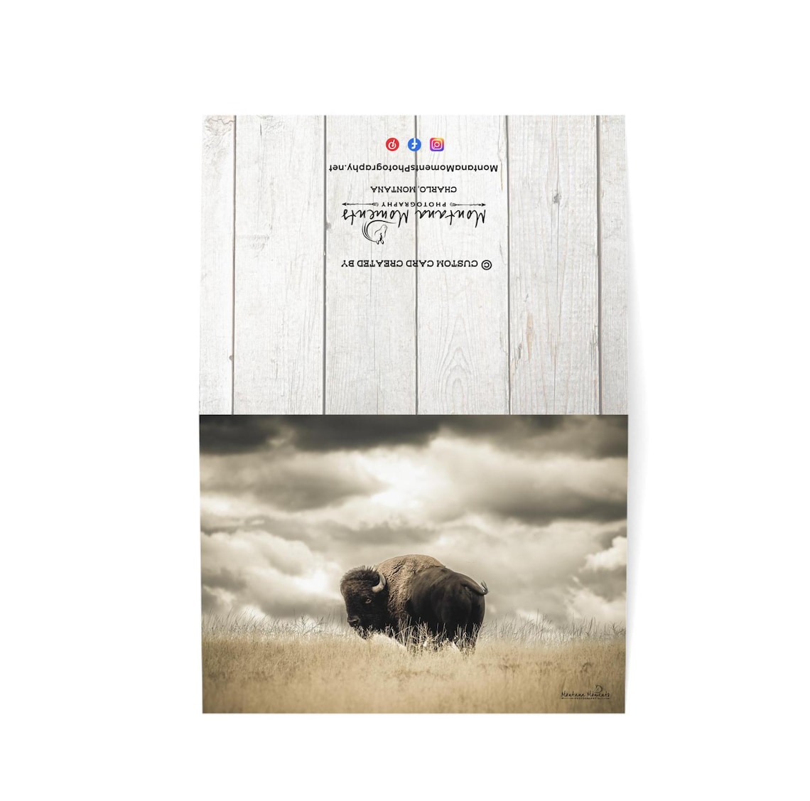 American Bison Blank Notecards • 5x7 Blank Cards With Wildlife ...