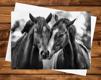 Black & White Horse Sketch Art Blank Note Card • Horse Greeting Cards • Black and White Horse Photo • Western Art Cards •  Horse Art Cards