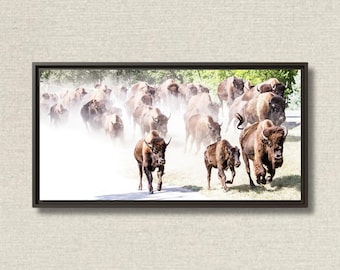 Buffalo Photo Art, American Bison Art, American Buffalo Photo, Canvas Wall Art, Rustic Ranch Home Decor, Farmhouse Decor, Western Lifestyle