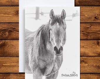 Black & White Horse Photo 5x7 Blank Cards • Horse Greeting Card • Horse Lover Gifts • Horse Note Cards • Blank Note Cards •Montana Horse Art