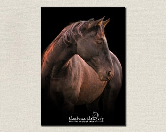 Horse Photography for your Home or Office • Rustic Ranch Home Decor or Farmhouse Decor • Western Canvas Wall Art • Equine Art • Horse Prints