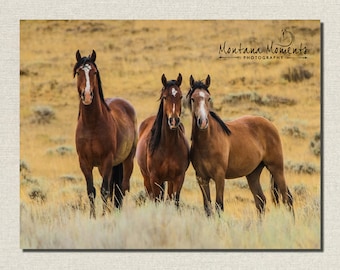 Horse Wall Decor, Horse Lover Gift, Ranch Home Decor, Cabin Wall Art, Horse Canvas Art Photos, Equine Photos, Horses