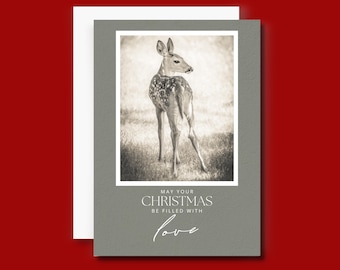 Beautiful Deer Wildlife 5x7 Christmas Cards • Deer Photos • Vintage Holiday Greeting Cards • Christmas Card Sets • Merry Christmas Cards