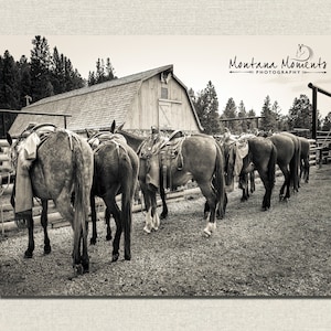 May include: A line of saddled horses stand in front of a wooden barn with a metal roof. The horses are all facing the same direction and are lined up in a row. The barn is a simple structure with a single door and a few windows. The horses are all brown and have long tails. The scene is set in a rural area with trees in the background.