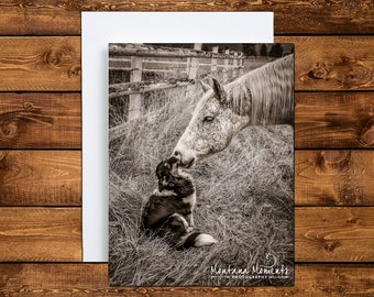 Horse & Dog Note Card Sets, Blank Greeting Cards, Note Card, Thank You Card, Horse Stationery, Horse Gift, Cards