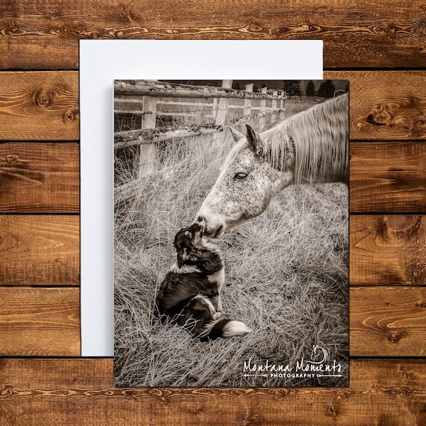 Horse & Dog Note Card Sets, Blank Greeting Cards, Note Card, Thank You Card, Horse Stationery, Horse Gift, Cards