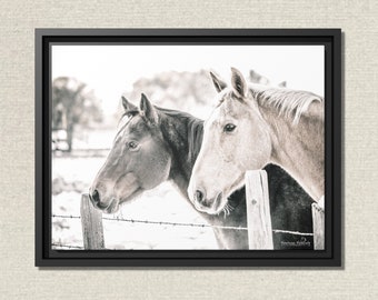 Framed Canvas Horse Wall Prints • Snowy Horses in Black Float Frame • Horse Wall Art • Horse Photography • Black & White Art • Western Decor