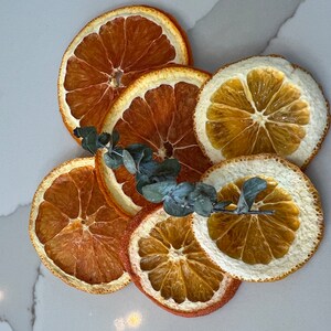 Könnte beinhalten: Getrocknete Orangenscheiben, die in einem Kreis angeordnet sind, mit einem Zweig Eukalyptus in der Mitte. Die Orangenscheiben sind eine Mischung aus hell und dunkel orange.