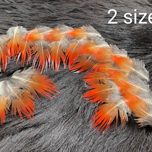 16/20 Federn, 2,5-7cm, Fasanenfedern, Goldfasan, aus artgerechter Haltung, keine Papageienfedern, rote Schmuckfedern zum Basteln für Kostüme