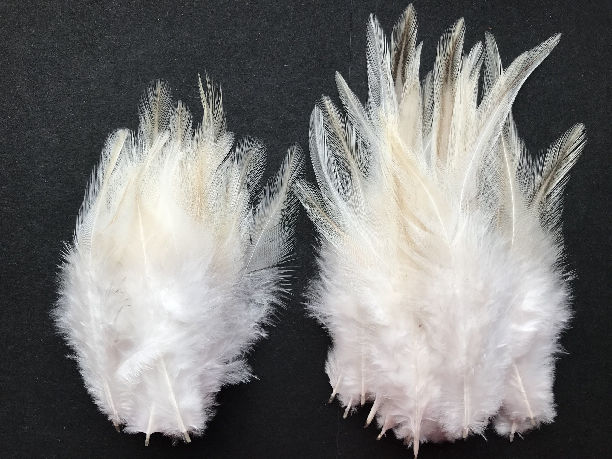 Marabou Feather Puffs, Marabou Puffs, Feather Puffs, Marabou Feathers,  Curly Feathers, Feather BOA , Wholesale Feather Puffs, Choose Colors 