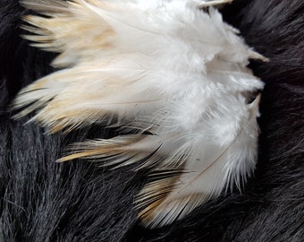 25 plumes, 7-10 cm, plumes de coq, crème-or, plumes décoratives, décoration de Pâques, plumes pour Pâques, issues d'un élevage adapté à l'espèce (O13)