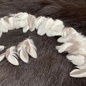 Puede incluir: Disposición de plumas blancas y grises, algunas con puntas marrones, sobre una superficie marrón oscuro texturizada. Las plumas son de varios tamaños y formas, creando una estética natural y orgánica.