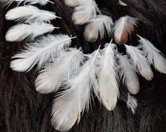 50 mini plumes, 1-4 cm, plumes de caille, plumes naturelles, plumes indiennes, plumes décoratives, carnaval, carnaval (W7)