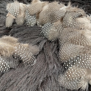 Puede incluir: Un conjunto de plumas de pintada moteadas en tonos grises y blancos. Las plumas están dispuestas sobre una superficie texturizada de color gris oscuro, creando una exhibición natural y texturizada. Las plumas tienen un patrón de manchas.