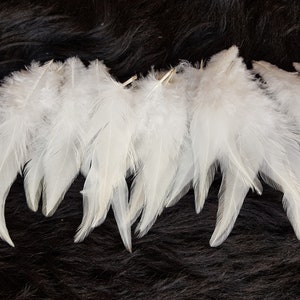 19 feathers, 10-15 cm, rooster feathers, species-appropriate attitude, craft feathers, decorative feathers, wedding jewelry (No. D9)