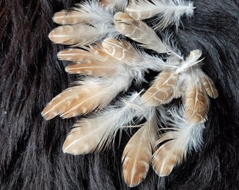 50 mini feathers, 1-4 cm, quail feathers, colorful, rooster feathers, natural feathers, Indian feathers, decorative feathers, carnival, carnival (W2)