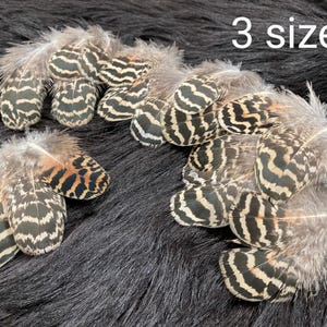 7-25 plumas, 3 tamaños, 3-13 cm, pluma de pavo real atigrado, pluma de pavo real pequeña, pluma de pavo real mini, plumas para pesca con mosca, no plumas de aves silvestres