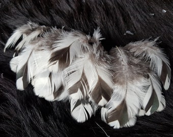 20 feathers, 5-9 cm, rooster feathers, Easter decoration, carnival, rooster feathers, decorative feathers, children's birthday party (O11)