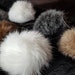 see more listings in the Skins, feet & paws section