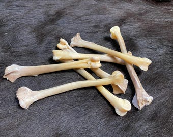 5 echte Tierknochen, 12-15cm, ethische Bastelknochen, zum Basteln, Hühnerknochen, Hexenrituale, Talismane, Schein, Hühnerknochen